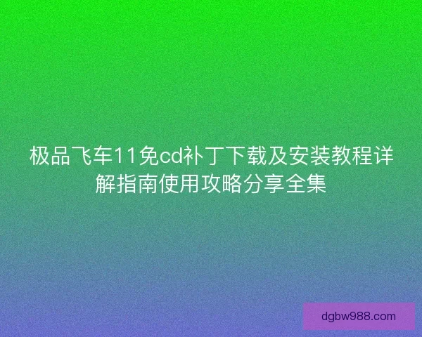 极品飞车11免cd补丁下载及安装教程详解指南使用攻略分享全集